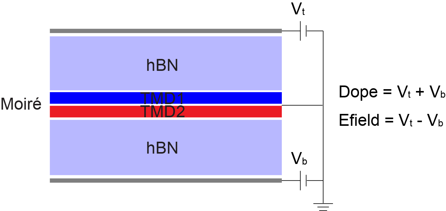 TMD Research